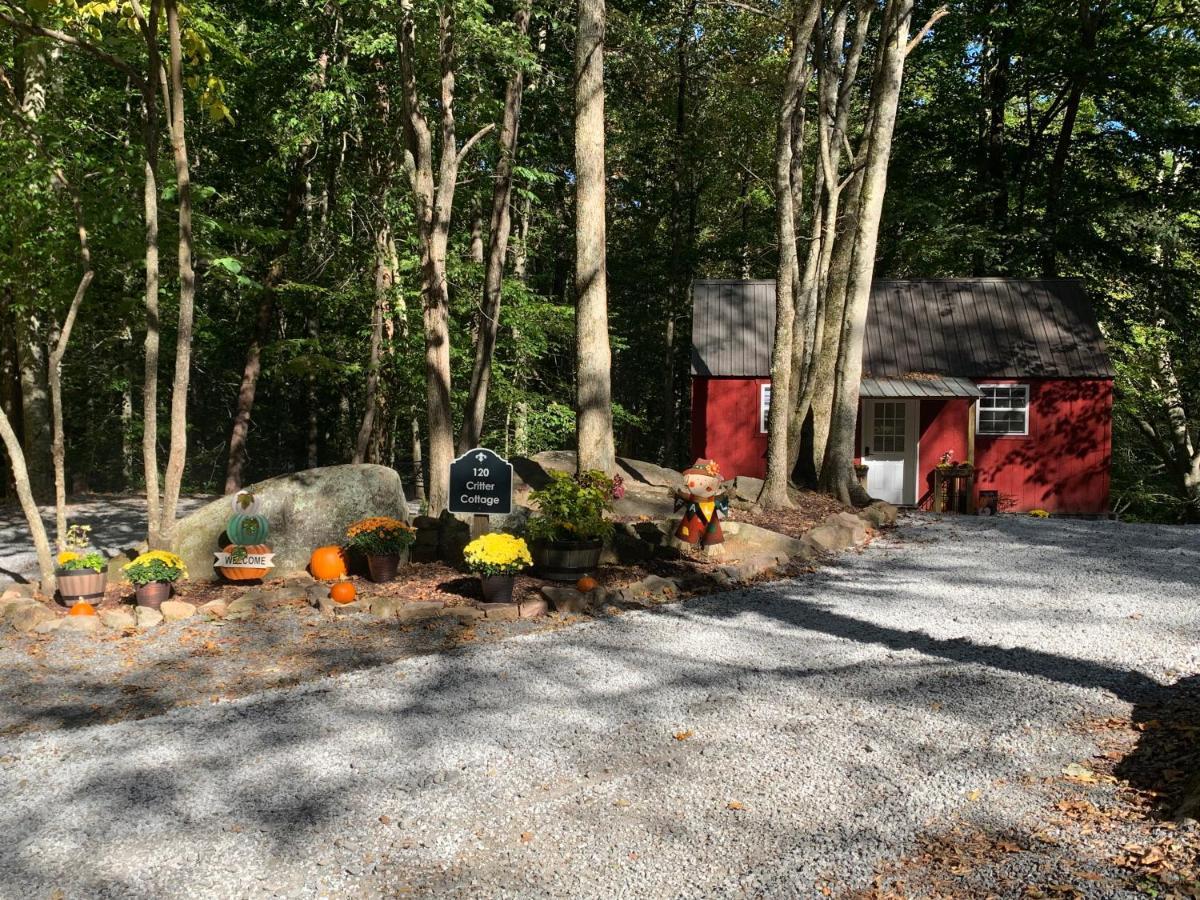 Coops Creek Cabins Dunlap Exterior photo